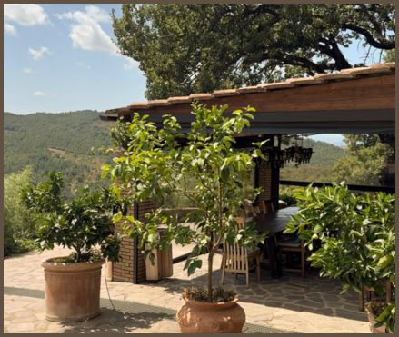 IL NICCIOLETO VILLA