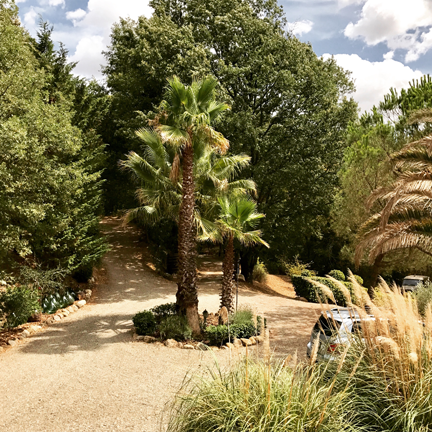 Il Niccioleto luxury Tuscan villa with private pool