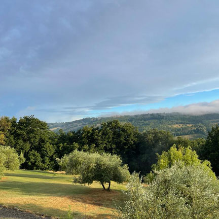IL NICCIOLETO VILLA