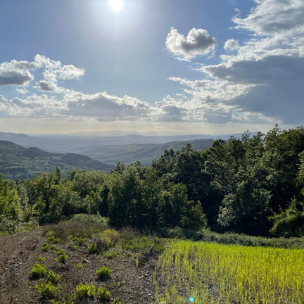 IL NICCIOLETO VILLA